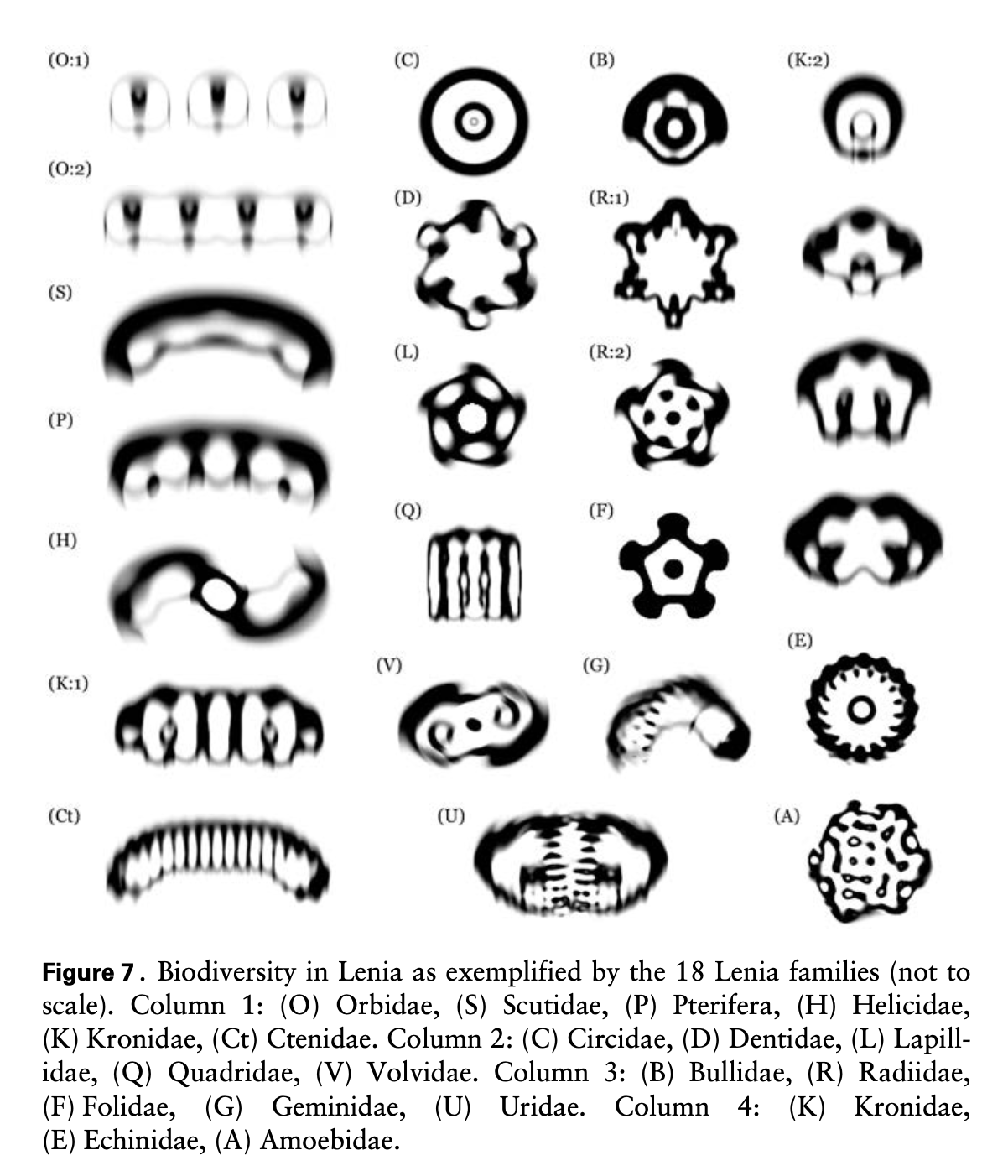 Primary-source screenshot of Figure 7 from Chan's Lenia paper, showing biodiversity in Lenia as exemplified by the 18 Lenia families.