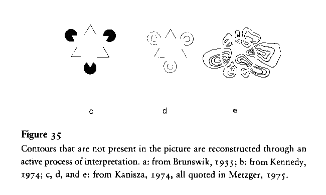 Primary-source scan of Figure 35 from Braitenberg's Vehicles, showing reconstructed contours and its printed caption.